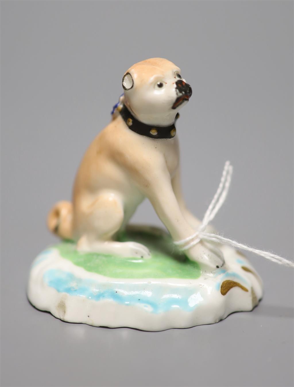 A Derby porcelain pug, c.1810-30, height 6cm